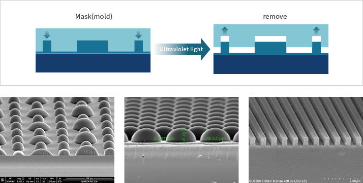 28Ȧ(�й�)�ٷ���վ